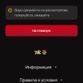 Выплатят но как скоро!!!! Верификация и вывод