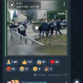 Интернет-обрезание