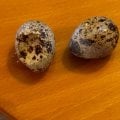 Ни извинений, ни возврата денежных средств