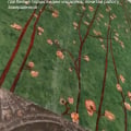 Прораб – кидала ИП КРИЦКАЯ ИРИНА ДМИТРИЕВНА (ИНН 772774974603)