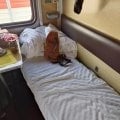 Поезд 347 севера Байкальск -Барнаул