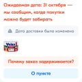 Ужасная доставка до пунктов выдачи.
