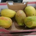 Наслаждаюсь манго