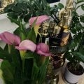 Отзыв о Интернет-магазин Духи.рф: Духи РФ парфюм