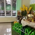 Прекрасный вариант провести время!