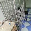 Вы бы лучше прокатились по детским больницам России