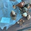 Отзыв о МойСадовод: торгаши гнили