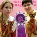 Мошенница Светлана Загуменова Загуменнова Санкт-Петербург