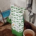 Отзыв о ООО СТАРТАФФ: Вот это все делают доярки ,плюс кормят и убирают у телят .А скотники посыпают опилками и скребут